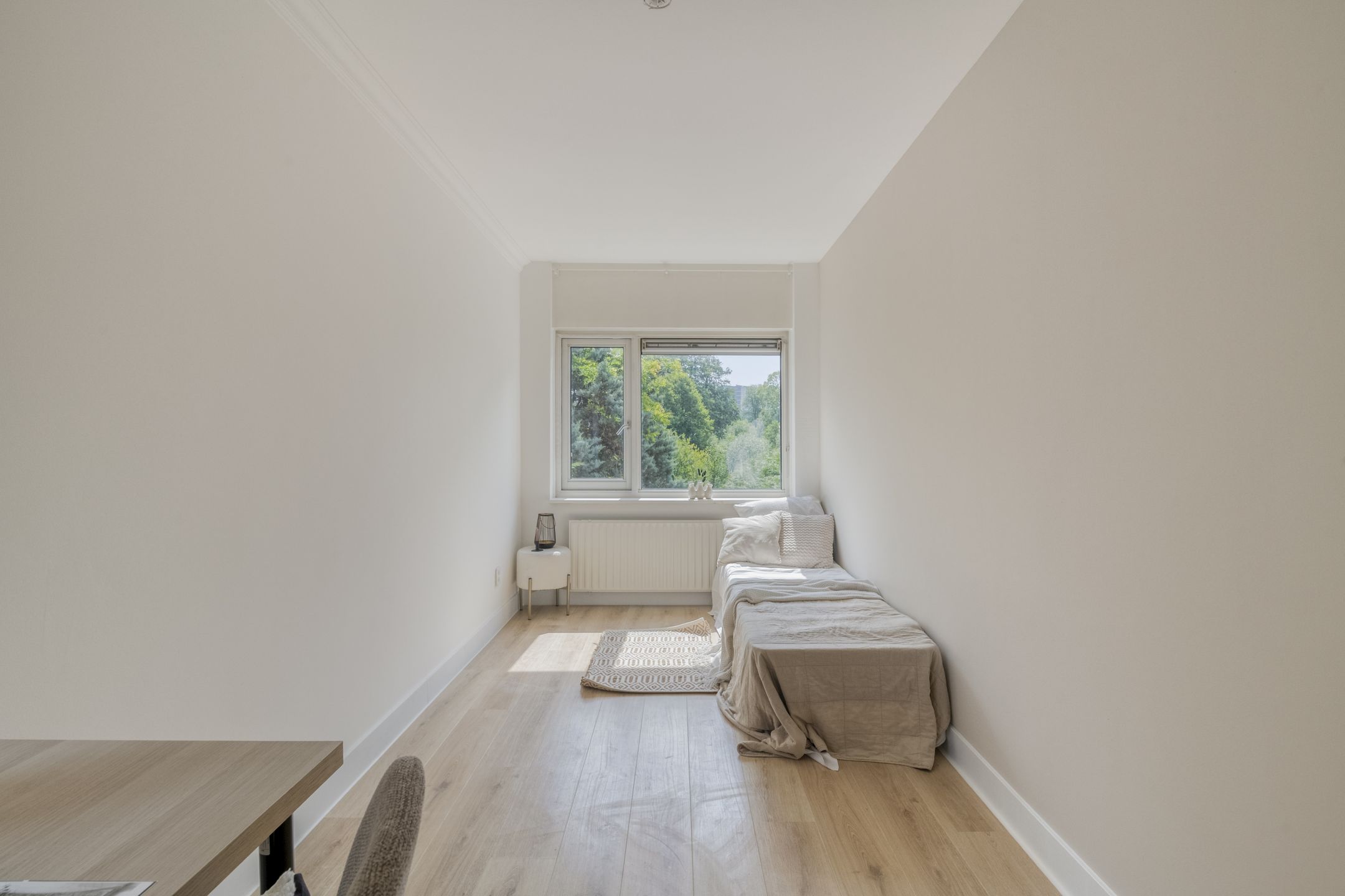 Photo 18 of Bastenakenstraat 118
