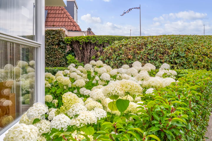 Vrijstaande woning te koop: De Greiden 109, Indijk
