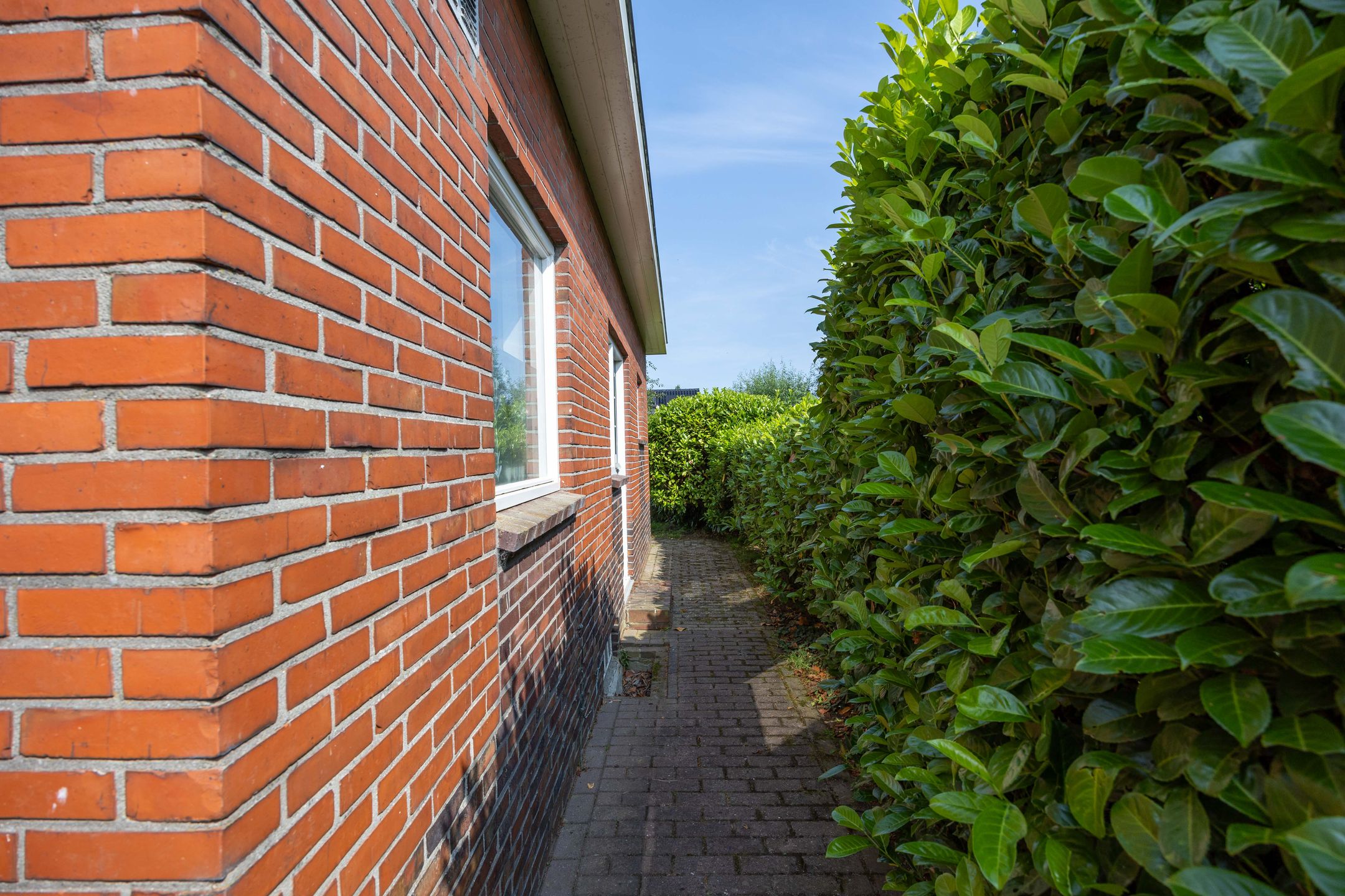 Foto 48 van Nieuwstad 4
