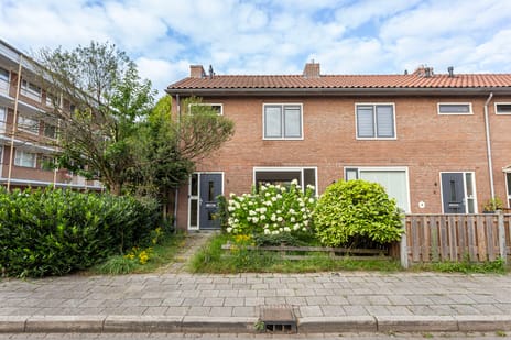 Geelgorsstraat thumbnail