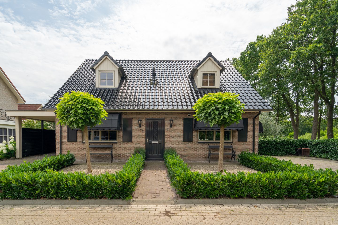 Foto 5 van Distelvlinder 2