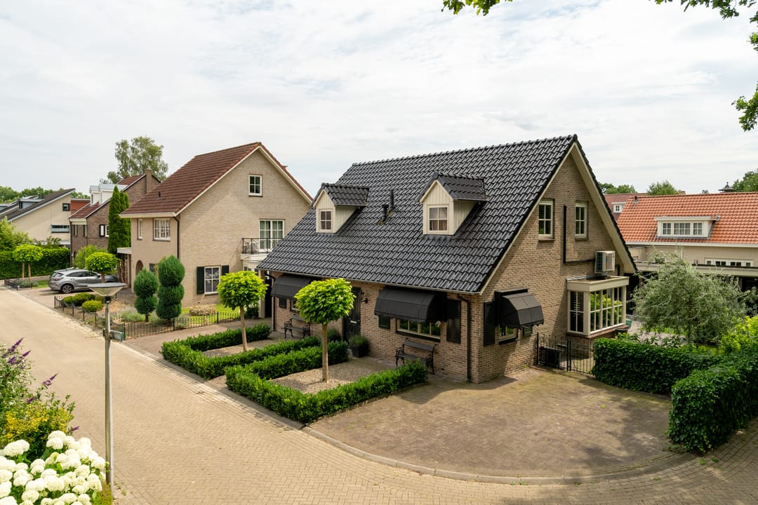 Foto 1 van Distelvlinder 2