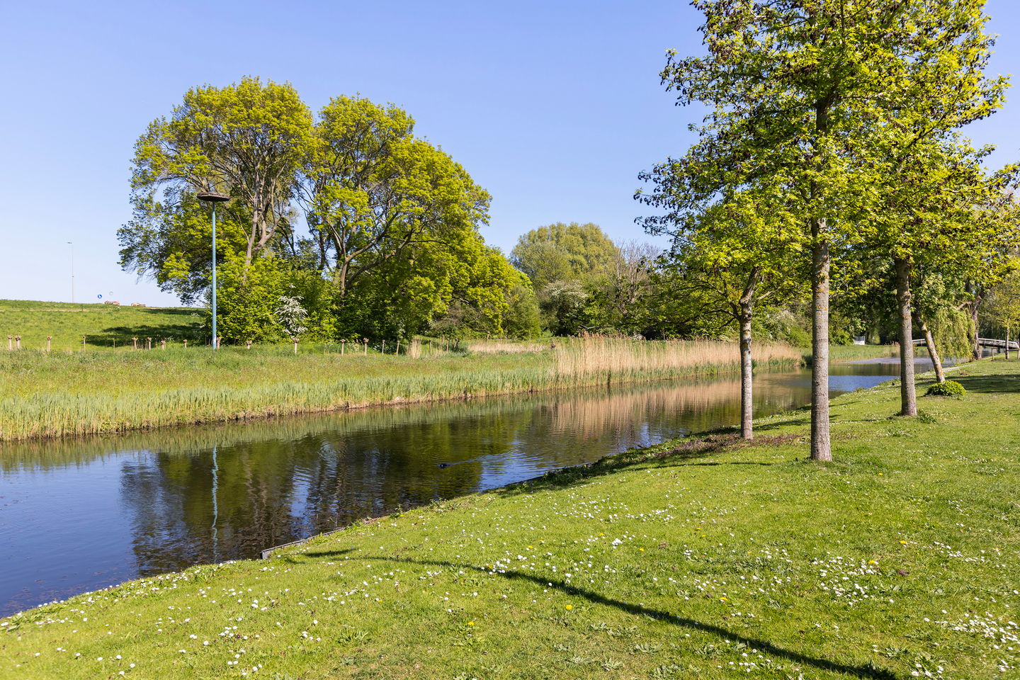 Foto 44 van Esdoornlaan 32