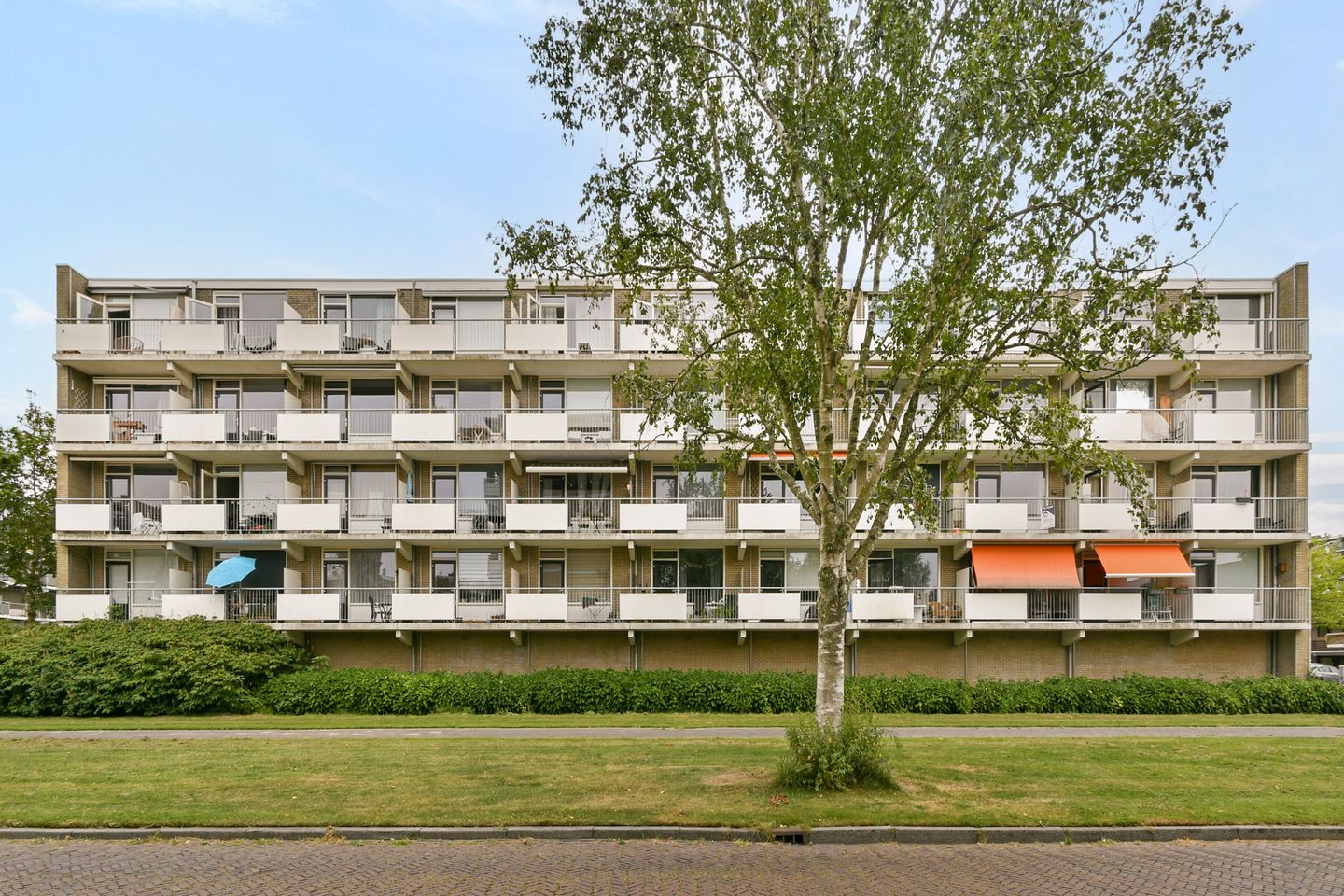 Foto 10 van Newa 83