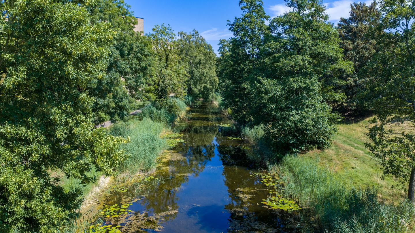 Photo 35 of Mozartstraat 288