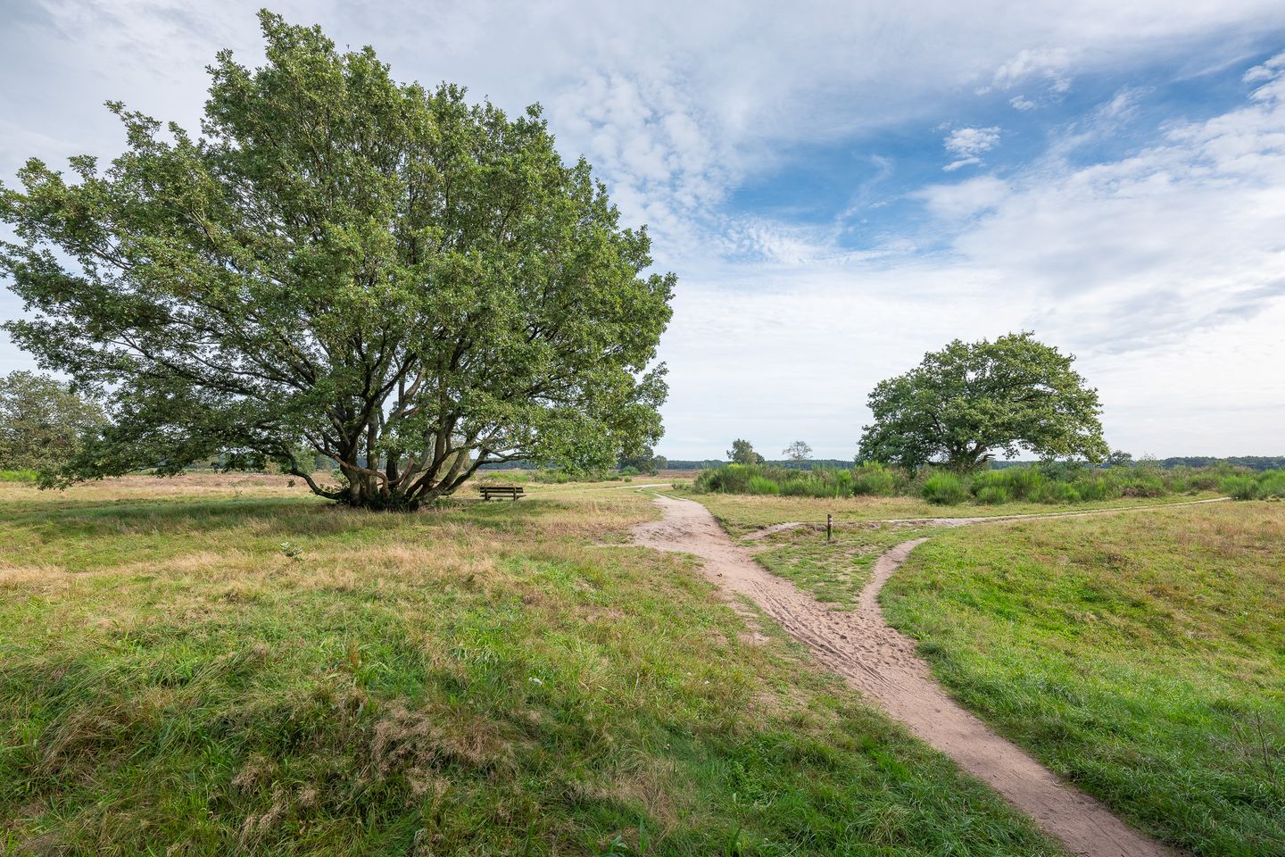 Foto 49 van Imkerweg 41