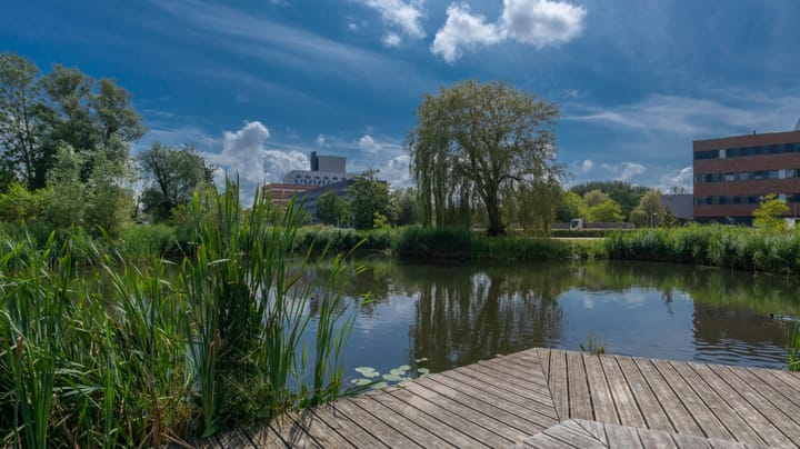 Appartement te koop: Dankmeijerpad 71, Leiden