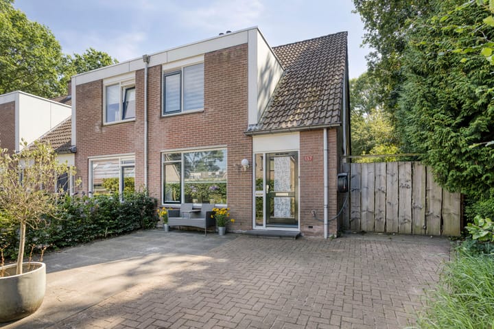Foto 4 van De Twee Gebroeders 157