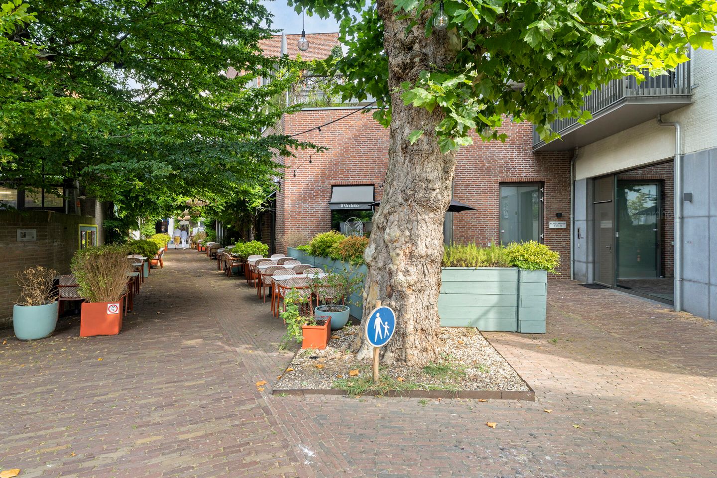 Photo 5 of Wijngaardhof 16