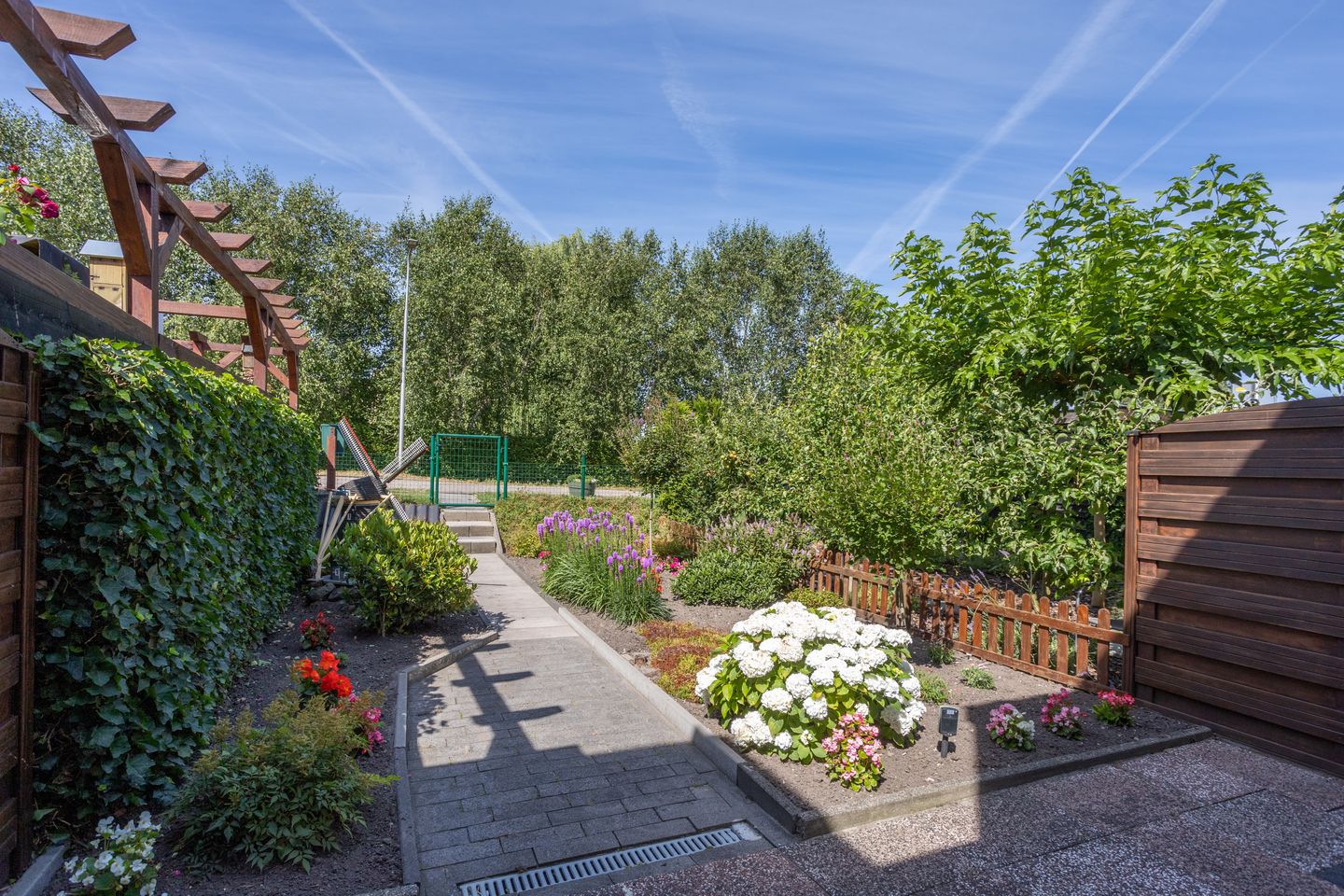 Photo 34 of Tuinpad 3