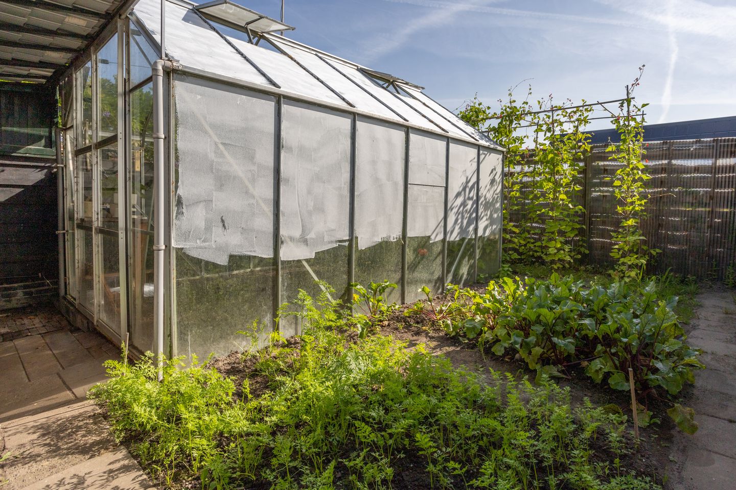 Photo 40 of Tuinpad 3