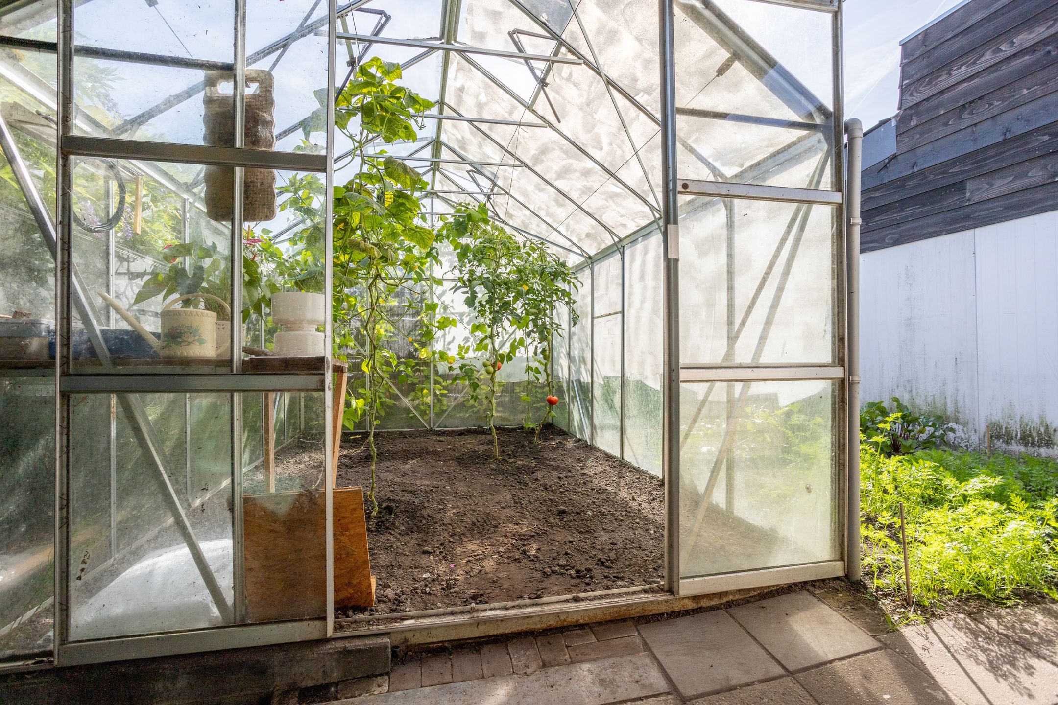 Photo 42 of Tuinpad 3