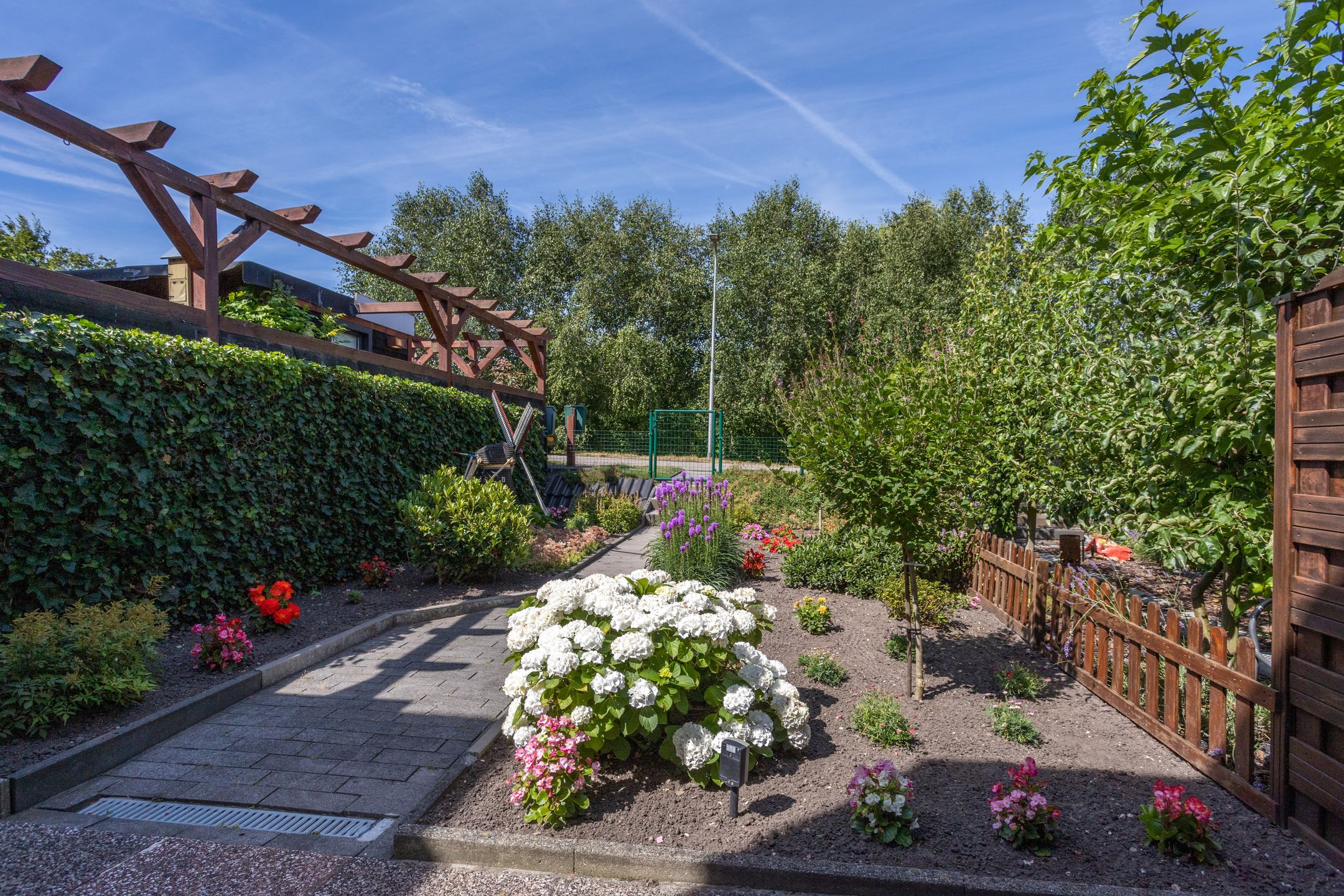Photo 33 of Tuinpad 3