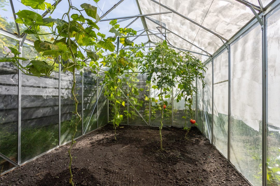 Photo 41 of Tuinpad 3