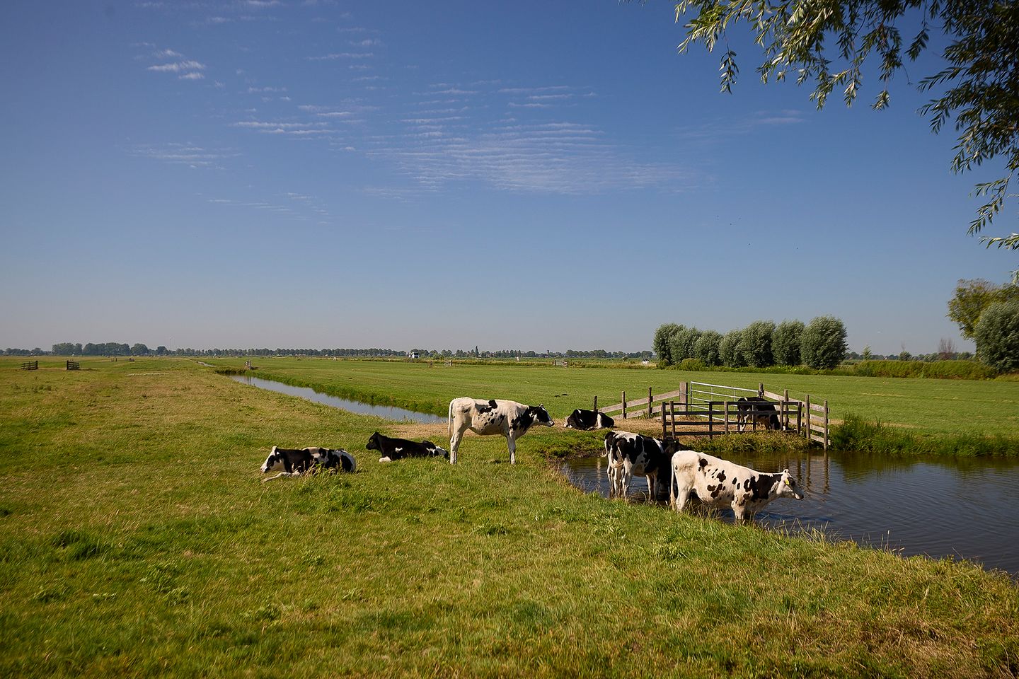 Foto 64 van Warder 181-A
