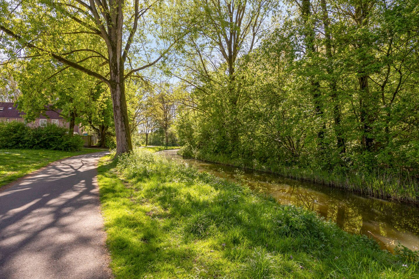 Foto 44 van Eindhovensingel 117
