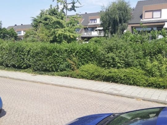Foto 12 van Badhoevelaan 77