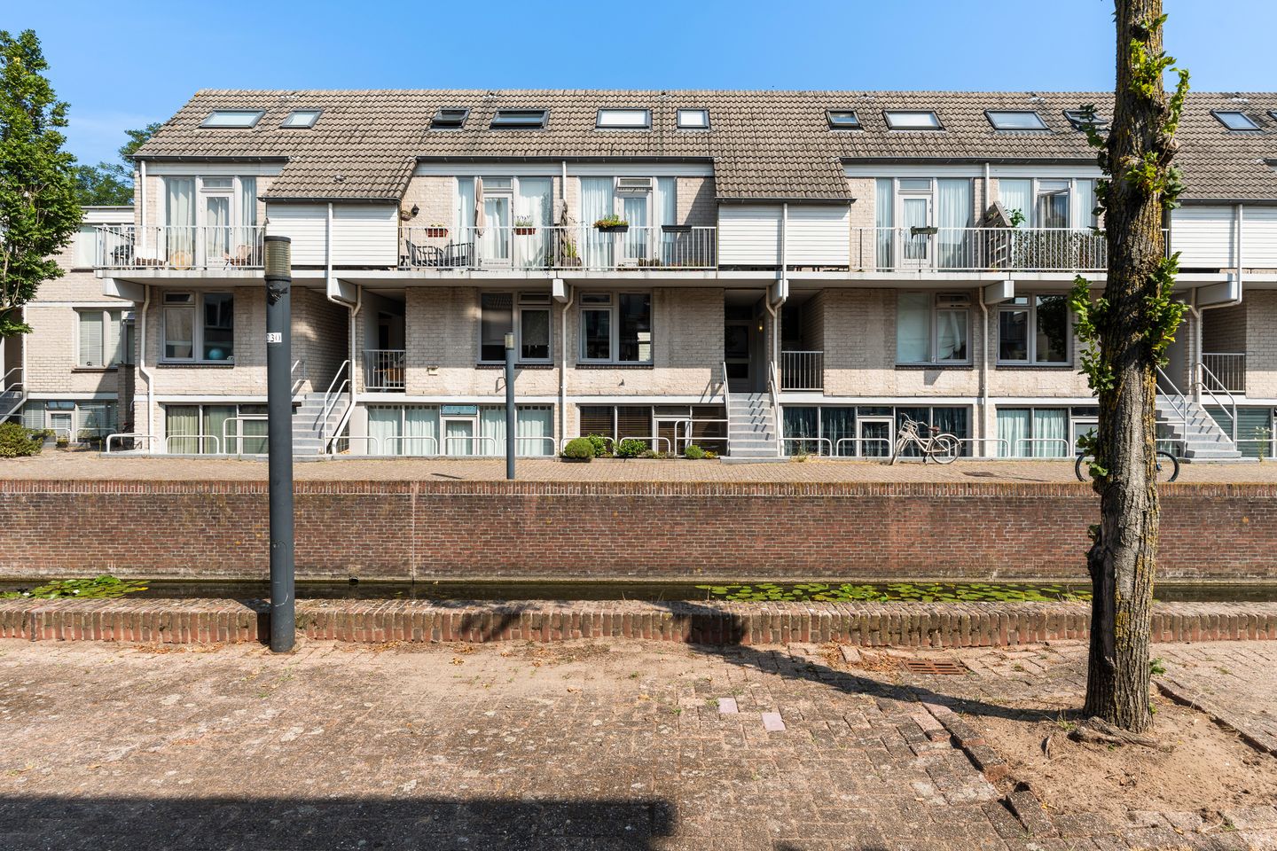 Photo 50 of Floris Burgwal 55