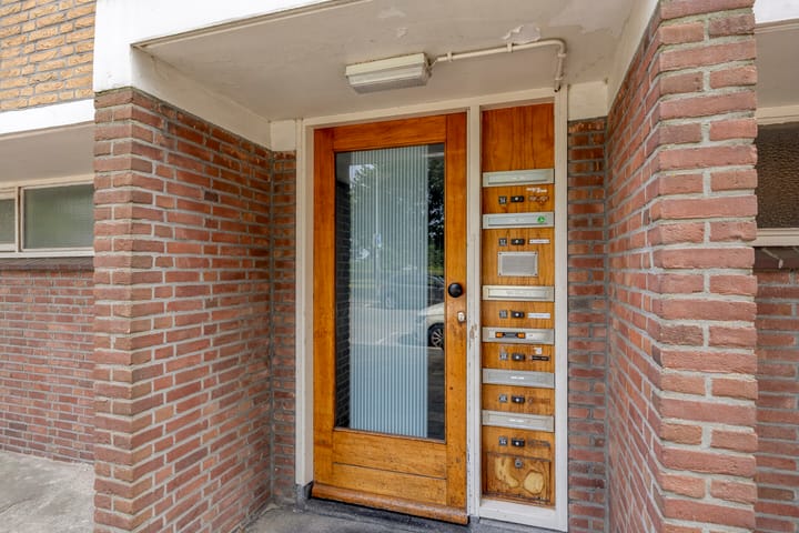 Foto 3 van Bichon van IJsselmondelaan 52