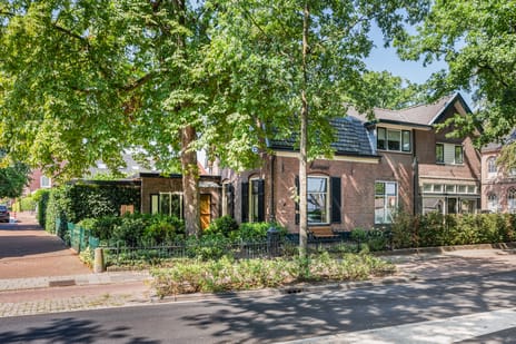 Steenhoffstraat thumbnail