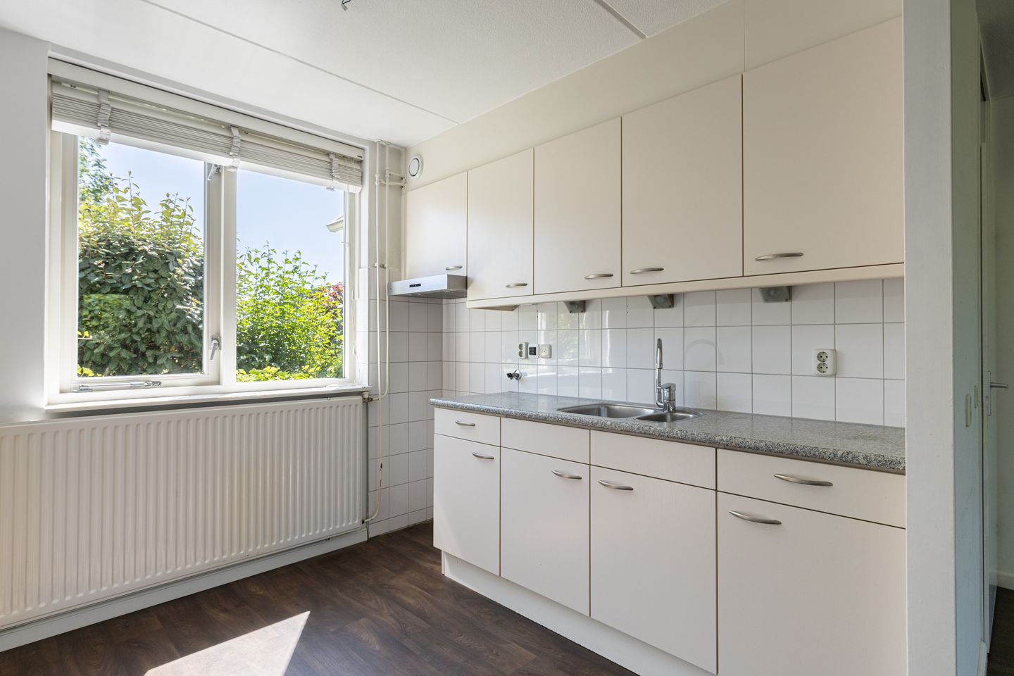 Foto 10 van Lisdodde 16