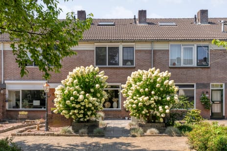 Lisztstraat thumbnail