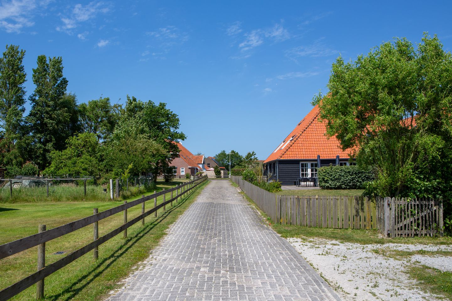 Foto 40 van Lies 36