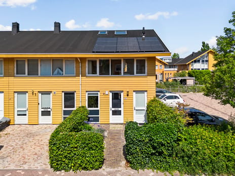 Charlotte van Pallandthof thumbnail