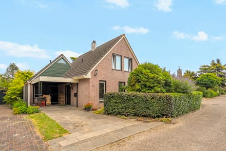 Dotterbloemstraat thumbnail