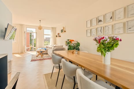 Van Hallstraat thumbnail