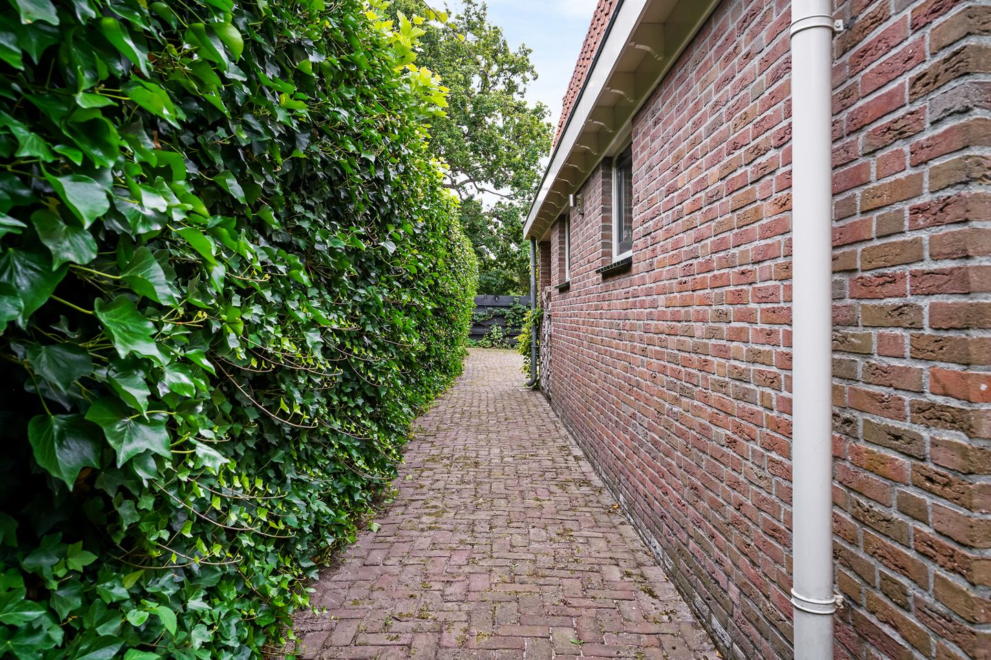 Foto 59 van Visweg 2-C