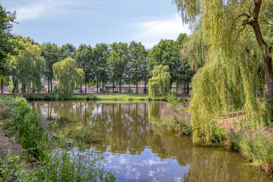 Photo 43 of Groenlostraat 10