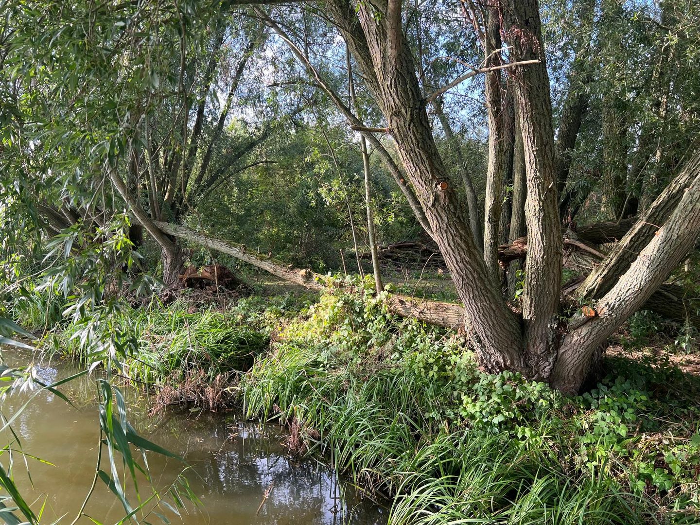 Diefdijk - Leerdam - Afbeelding 6