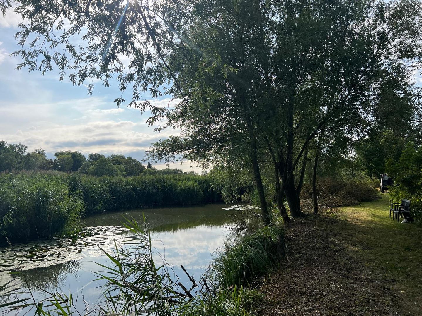 Diefdijk - Leerdam - Afbeelding 3