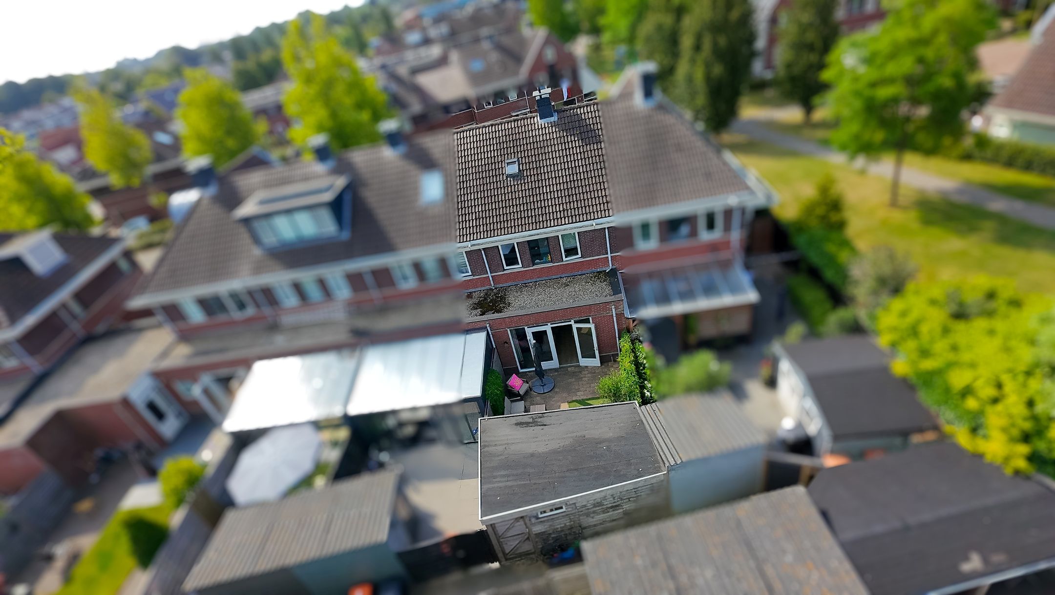 Photo 57 of Tuinfluiter 19