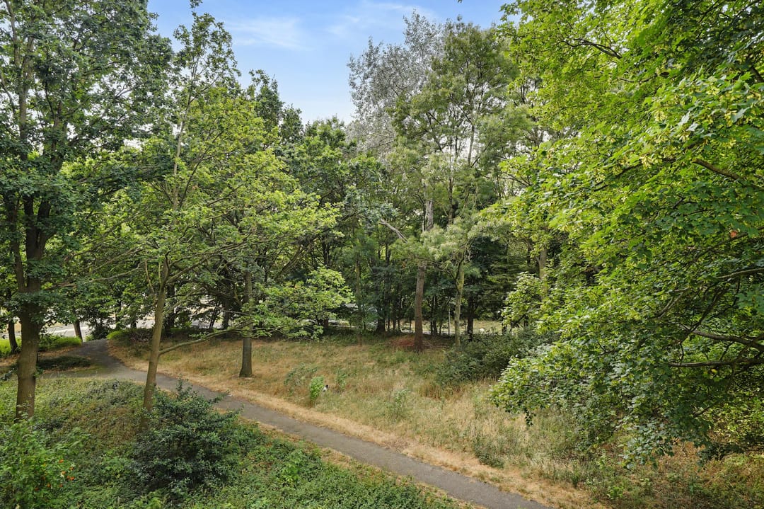 Foto 43 van Drieoortsput 16