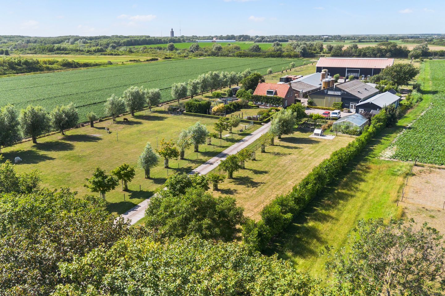 Boudewijnskerke 5 - Zoutelande - Afbeelding 2