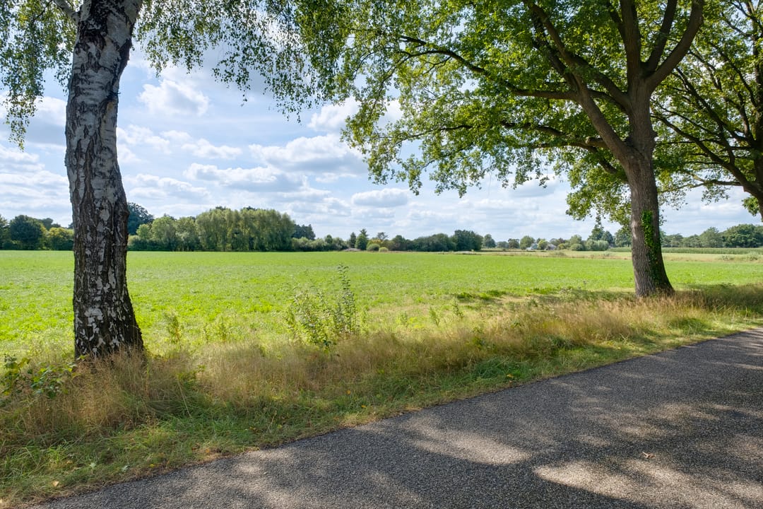 Photo 46 of Toldijk 3