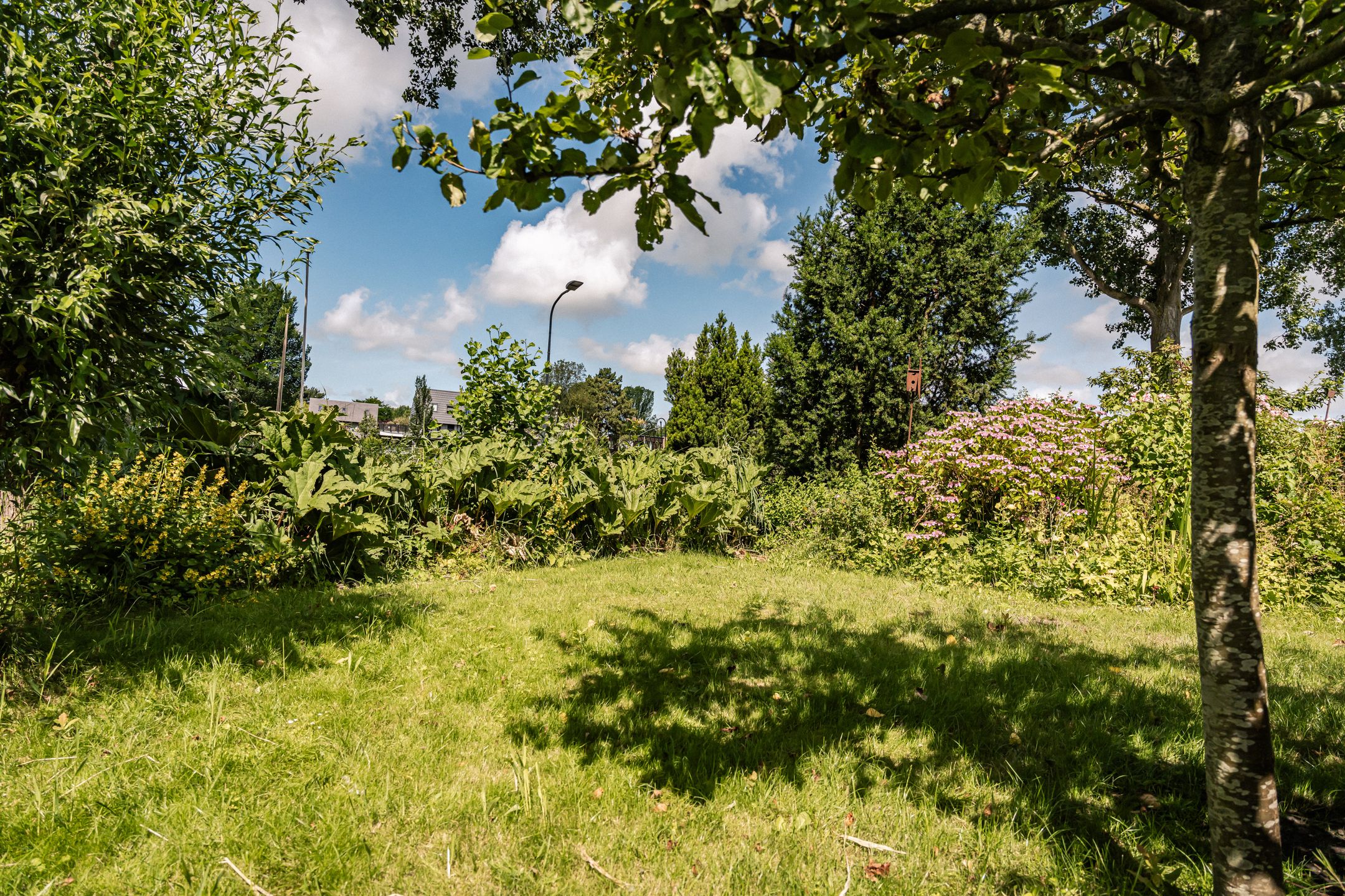 Photo 33 of Noord Schalkwijkerweg 125