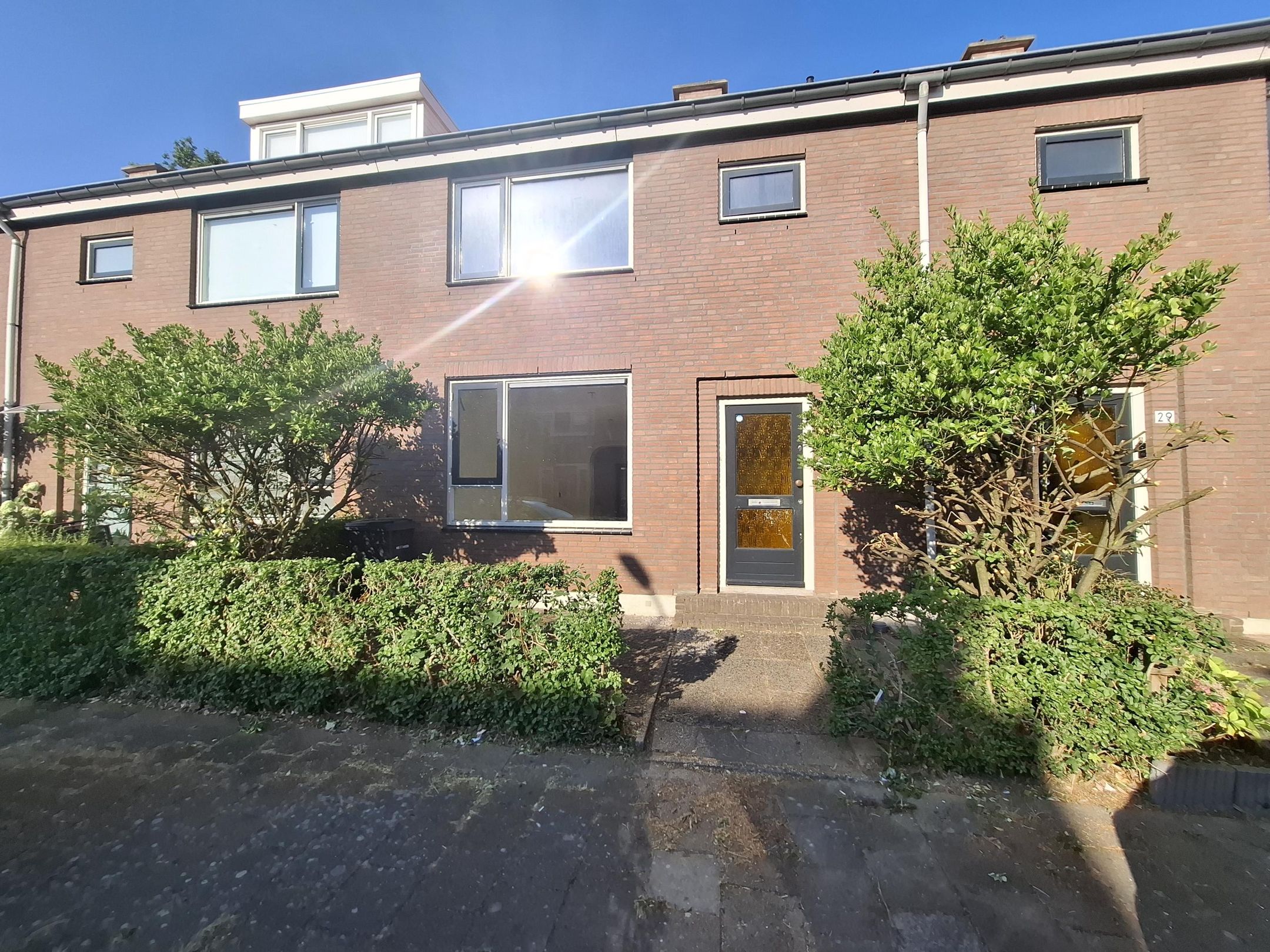 Lodewijkstraat 31