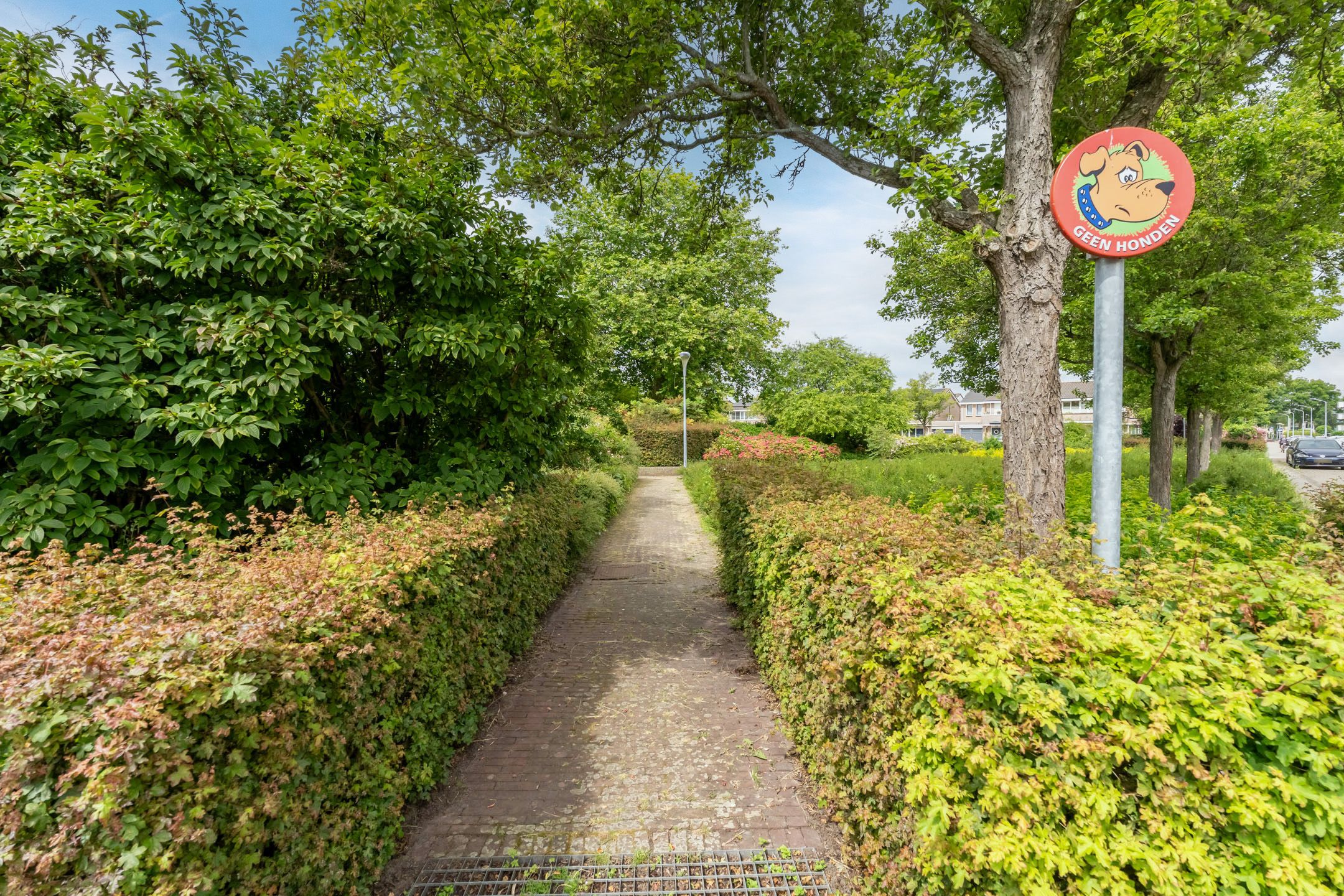 Photo 60 of Roosje Vosplantsoen 12