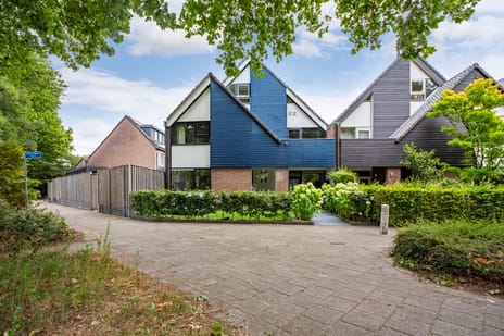 Catharinadaal thumbnail