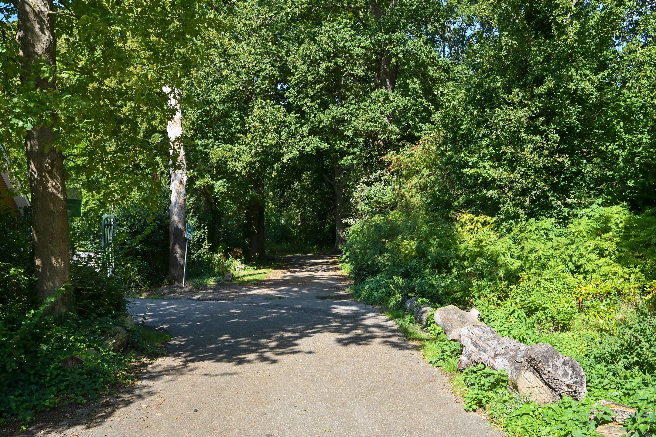 Photo 36 of Kornalijnhorst 24