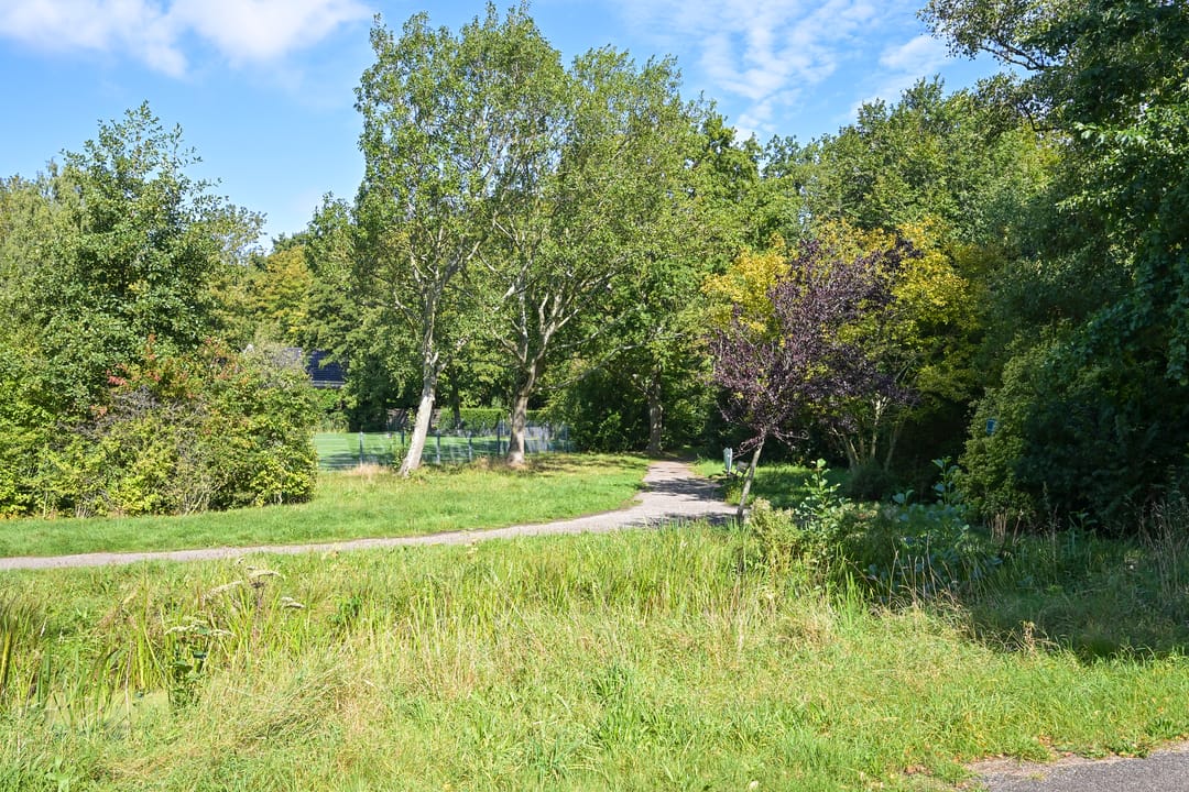 Photo 38 of Kornalijnhorst 24
