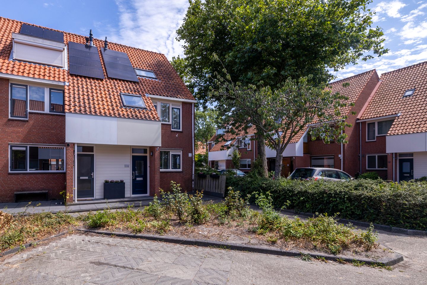 Foto 40 van Lisdodde 18