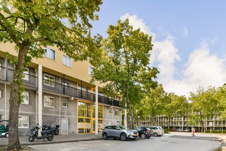 Olof Palmeplein thumbnail