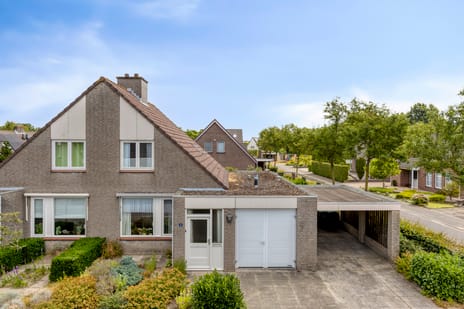 Pinksterbloem thumbnail