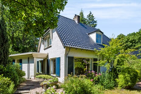 Groene Kijkerweg thumbnail