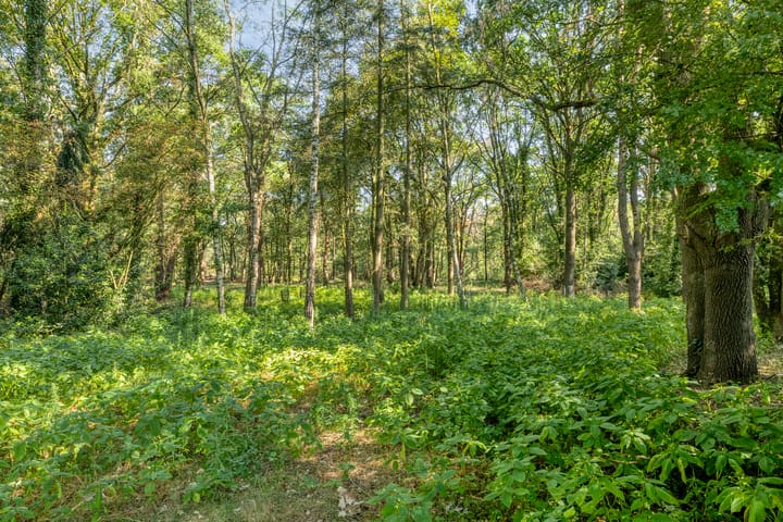 Vrijstaande woning te koop: Hertog van Brabantweg 21, Loon Op Zand
