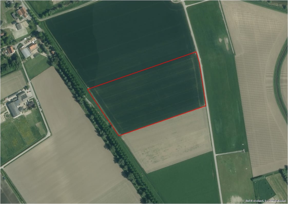 Buitendijk - Strijen - Afbeelding 7